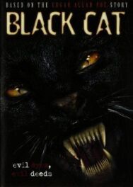 Черная кошка постер к фильму смотреть онлайн на HD Rezka