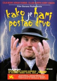 Как Гарри превратился в дерево постер к фильму смотреть онлайн на HD Rezka