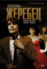 Жеребец постер к фильму смотреть онлайн на HD Rezka