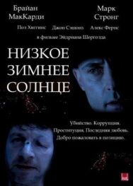 Низкое зимнее солнце постер к фильму смотреть онлайн на HD Rezka