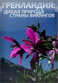 Гренландия: Дикая природа страны викингов постер к фильму смотреть онлайн на HD Rezka