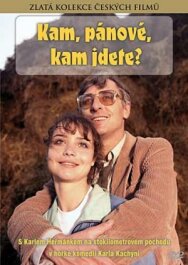 Куда, товарищи, куда идете? постер к фильму смотреть онлайн на HD Rezka