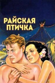 Райская птичка постер к фильму смотреть онлайн на HD Rezka