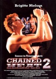 Женщины за решеткой 2 постер к фильму смотреть онлайн на HD Rezka