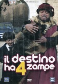 Четвероногая звезда постер к фильму смотреть онлайн на HD Rezka
