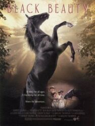 Черный красавец постер к фильму смотреть онлайн на HD Rezka