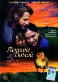 Летите домой постер к фильму смотреть онлайн на HD Rezka