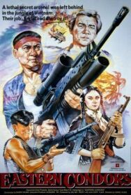 Восточные кондоры постер к фильму смотреть онлайн на HD Rezka