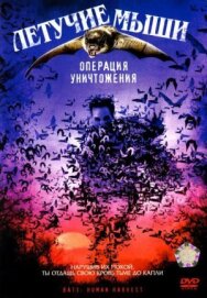 Летучие мыши: Операция уничтожения постер к фильму смотреть онлайн на HD Rezka