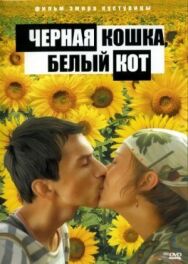 Черная кошка постер к фильму смотреть онлайн на HD Rezka