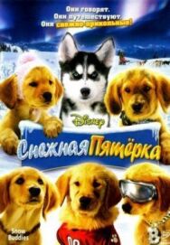 Снежная пятерка постер к фильму смотреть онлайн на HD Rezka
