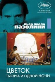 Цветок тысяча и одной ночи постер к фильму смотреть онлайн на HD Rezka