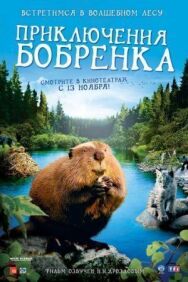 Приключения бобрёнка постер к фильму смотреть онлайн на HD Rezka