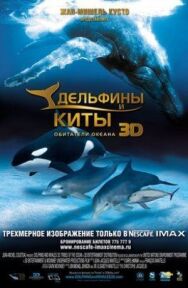 Дельфины и киты 3D постер к фильму смотреть онлайн на HD Rezka