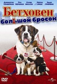 Бетховен: Большой бросок постер к фильму смотреть онлайн на HD Rezka