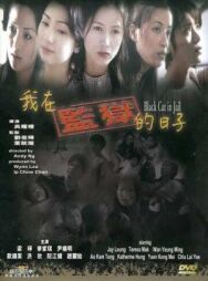 Чёрная кошка 3: В тюрьме постер к фильму смотреть онлайн на HD Rezka