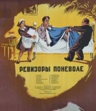 Ревизоры поневоле постер к фильму смотреть онлайн на HD Rezka