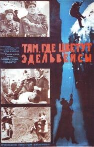 Там, где цветут эдельвейсы постер к фильму смотреть онлайн на HD Rezka