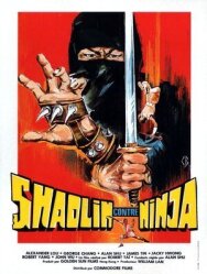 Шаолинь против ниндзя постер к фильму смотреть онлайн на HD Rezka
