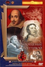 Укрощение строптивой постер к фильму смотреть онлайн на HD Rezka