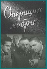 Операция «Кобра» постер к фильму смотреть онлайн на HD Rezka