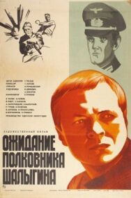 Ожидание полковника Шалыгина постер к фильму смотреть онлайн на HD Rezka