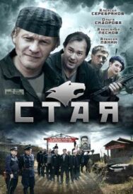 Стая постер к фильму смотреть онлайн на HD Rezka