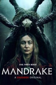 Мандрагора постер к фильму смотреть онлайн на HD Rezka