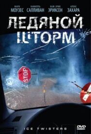 Ледяной шторм постер к фильму смотреть онлайн на HD Rezka
