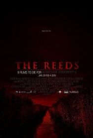 Тростник постер к фильму смотреть онлайн на HD Rezka