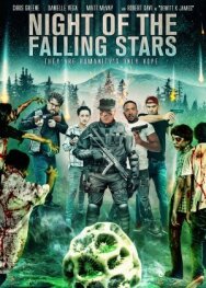 Night of the Falling Stars постер к фильму смотреть онлайн на HD Rezka