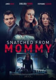 Ярость матери постер к фильму смотреть онлайн на HD Rezka