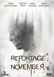 Ноябрьский репортаж постер к фильму смотреть онлайн на HD Rezka