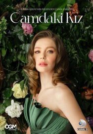 Девушка за стеклом постер к фильму смотреть онлайн на HD Rezka