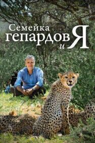 BBC. Семейка гепардов и я постер к фильму смотреть онлайн на HD Rezka