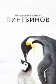 Встречайте семью пингвинов постер к фильму смотреть онлайн на HD Rezka