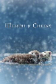 Шпион в снегах постер к фильму смотреть онлайн на HD Rezka