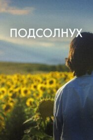 Подсолнух постер к фильму смотреть онлайн на HD Rezka