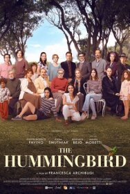 Колибри постер к фильму смотреть онлайн на HD Rezka