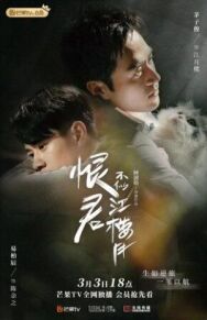 Убийца и целитель постер к фильму смотреть онлайн на HD Rezka