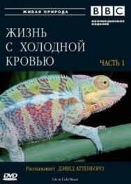 BBC: Жизнь с холодной кровью постер к фильму смотреть онлайн на HD Rezka