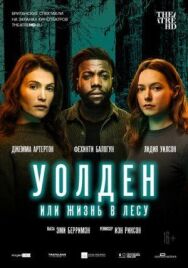 Уолден, или Жизнь в лесу постер к фильму смотреть онлайн на HD Rezka