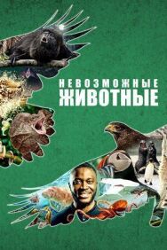 Невозможные животные постер к фильму смотреть онлайн на HD Rezka