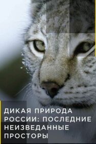 Дикая природа России: Последние неизведанные просторы постер к фильму смотреть онлайн на HD Rezka