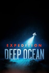 На дне океана постер к фильму смотреть онлайн на HD Rezka