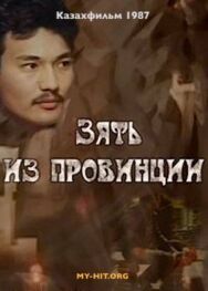 Зять из провинции постер к фильму смотреть онлайн на HD Rezka