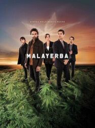 Дурная трава постер к фильму смотреть онлайн на HD Rezka