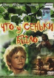 Что у Сеньки было постер к фильму смотреть онлайн на HD Rezka