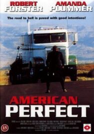 Американское совершенство постер к фильму смотреть онлайн на HD Rezka