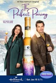 Идеальное сочетание постер к фильму смотреть онлайн на HD Rezka